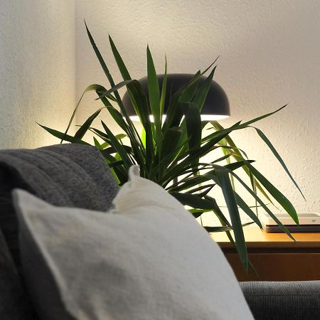 Entre Pinos P1 Beach Apartment トラダンバーラ エクステリア 写真