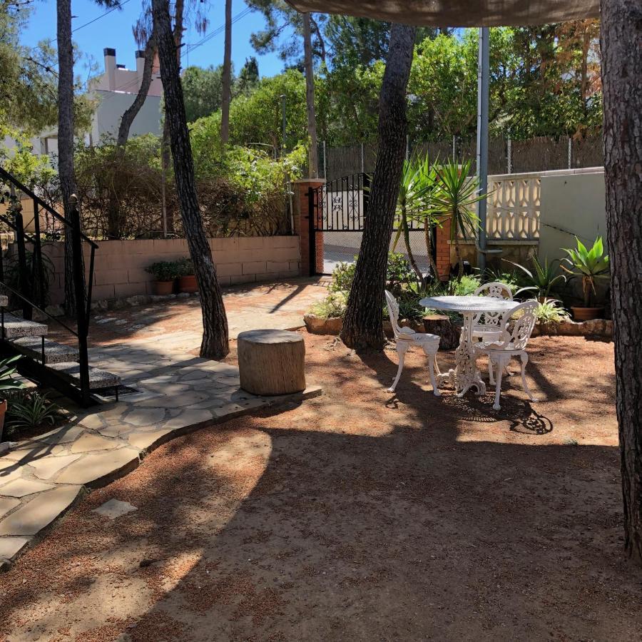 Entre Pinos P1 Beach Apartment トラダンバーラ エクステリア 写真